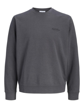 Jjearchive Graphic Sweat Cn Sn Jnr