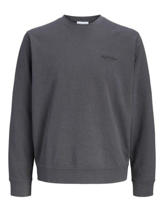 Jjearchive Graphic Sweat Cn Sn Jnr