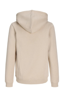 Jjbenson Sweat Hood Jnr