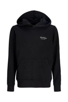 Jjearchive Graphic Sweat Hood Noos Jnr