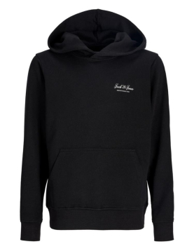Jjearchive Graphic Sweat Hood Noos Jnr