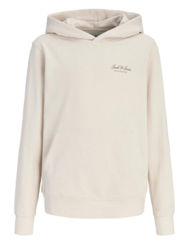 Jjearchive Graphic Sweat Hood Noos Jnr
