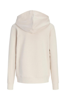 Jjearchive Graphic Sweat Hood Noos Jnr