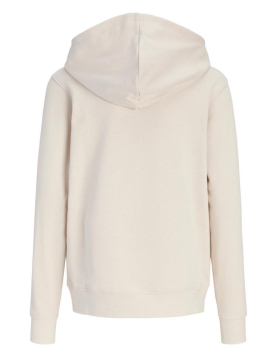 Jjearchive Graphic Sweat Hood Noos Jnr