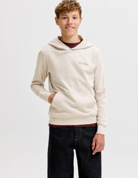Jjearchive Graphic Sweat Hood Noos Jnr