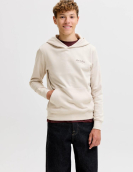 Jjearchive Graphic Sweat Hood Noos Jnr