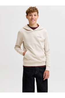 Jjearchive Graphic Sweat Hood Noos Jnr