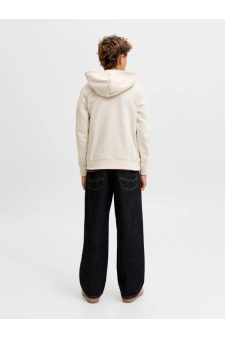 Jjearchive Graphic Sweat Hood Noos Jnr