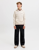 Jjearchive Graphic Sweat Hood Noos Jnr
