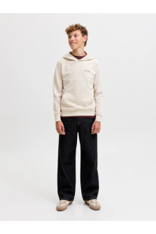 Jjearchive Graphic Sweat Hood Noos Jnr