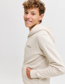 Jjearchive Graphic Sweat Hood Noos Jnr