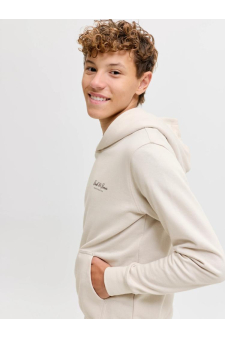 Jjearchive Graphic Sweat Hood Noos Jnr