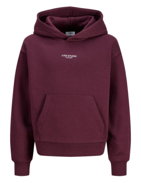 Jxstudio Vesterbro Hood Swt Noos Grl