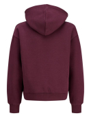 Jxstudio Vesterbro Hood Swt Noos Grl