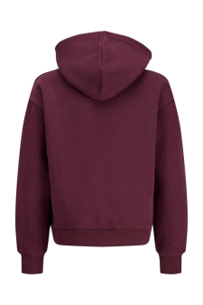 Jxstudio Vesterbro Hood Swt Noos Grl