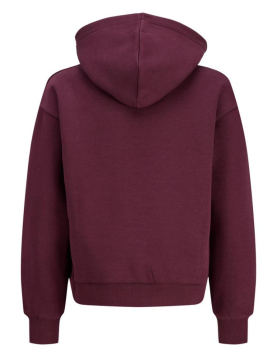 Jxstudio Vesterbro Hood Swt Noos Grl