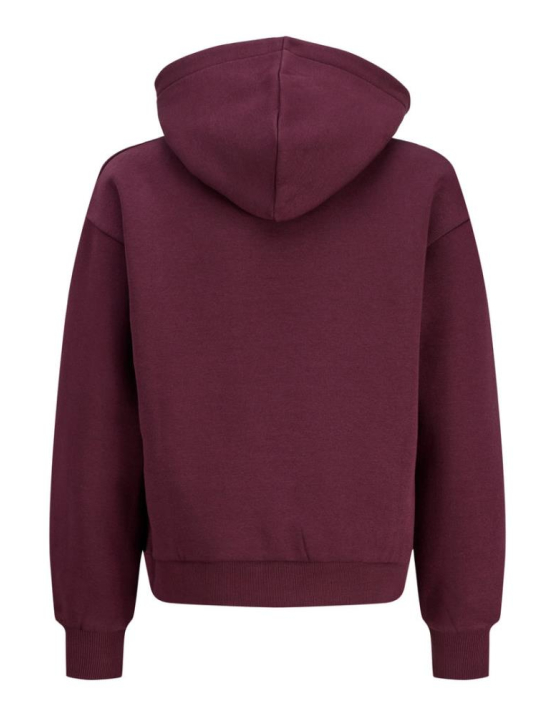 Jxstudio Vesterbro Hood Swt Noos Grl