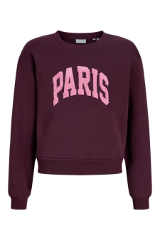 Jxtatum Terry Patch Crew Swt Grl