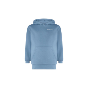 Champion Hoodie Sweatshirt