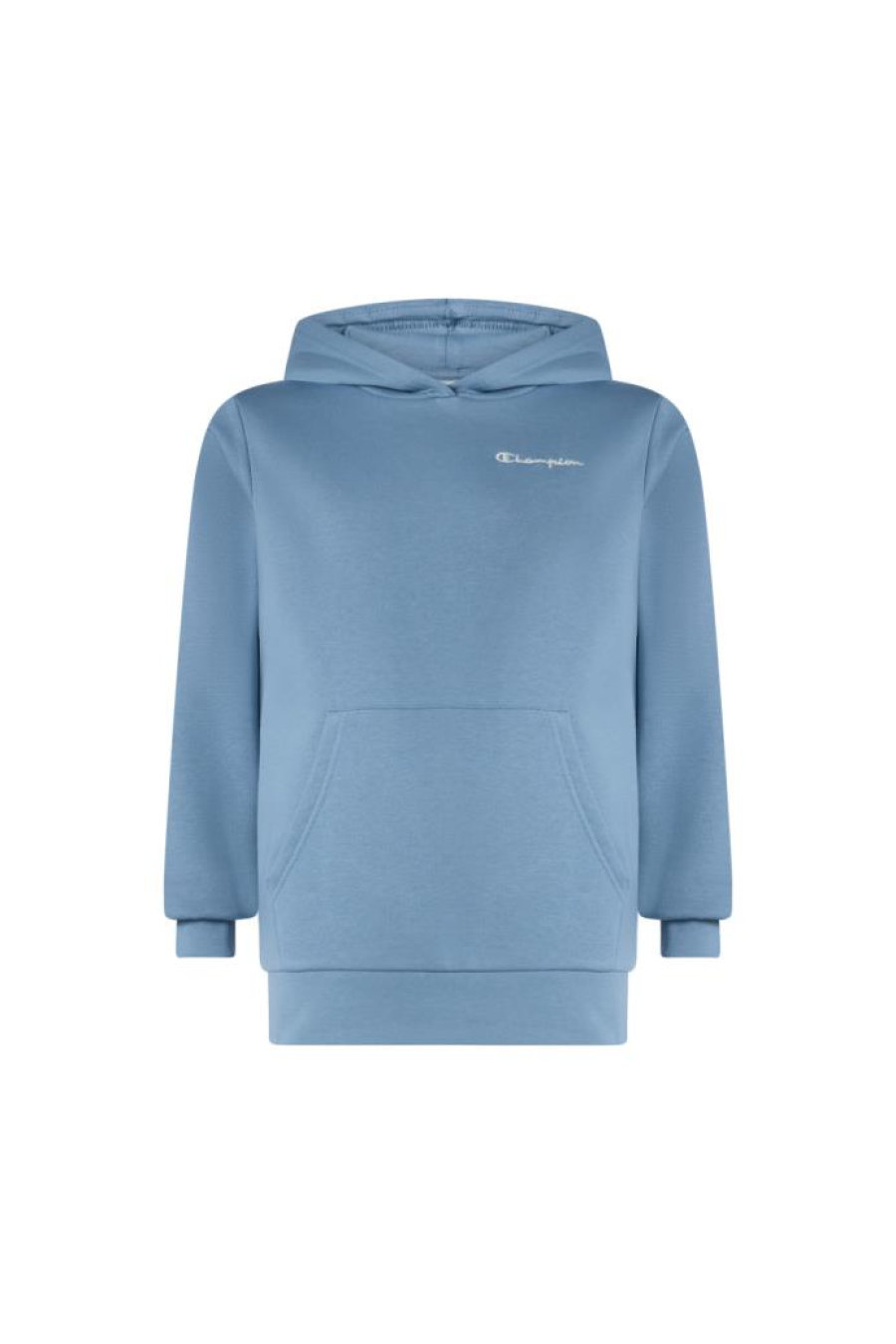 Champion Hoodie Sweatshirt