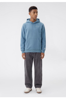 Champion Hoodie Sweatshirt