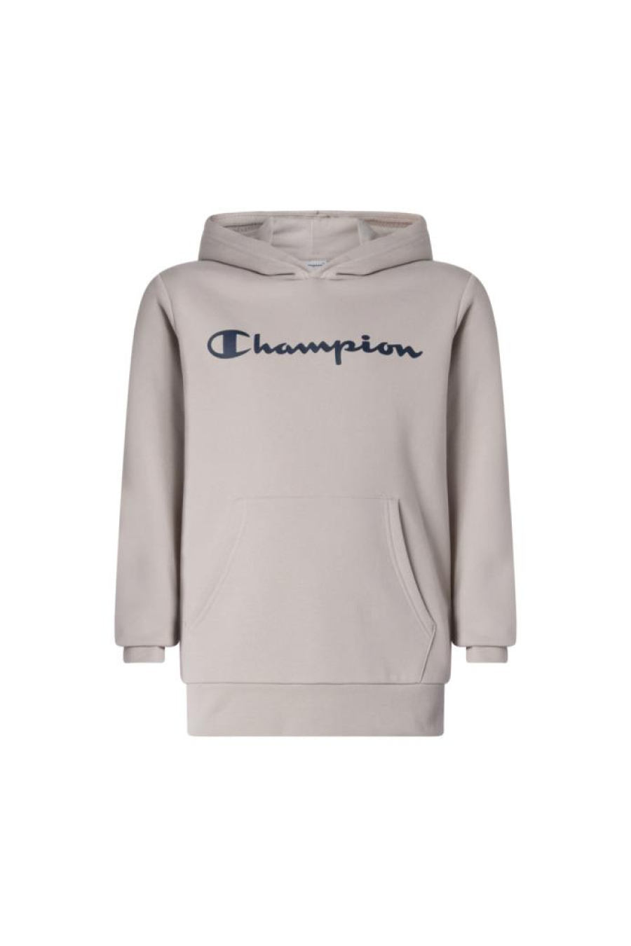 Champion Hoodie Sweatshirt