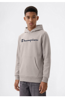 Champion Hoodie Sweatshirt