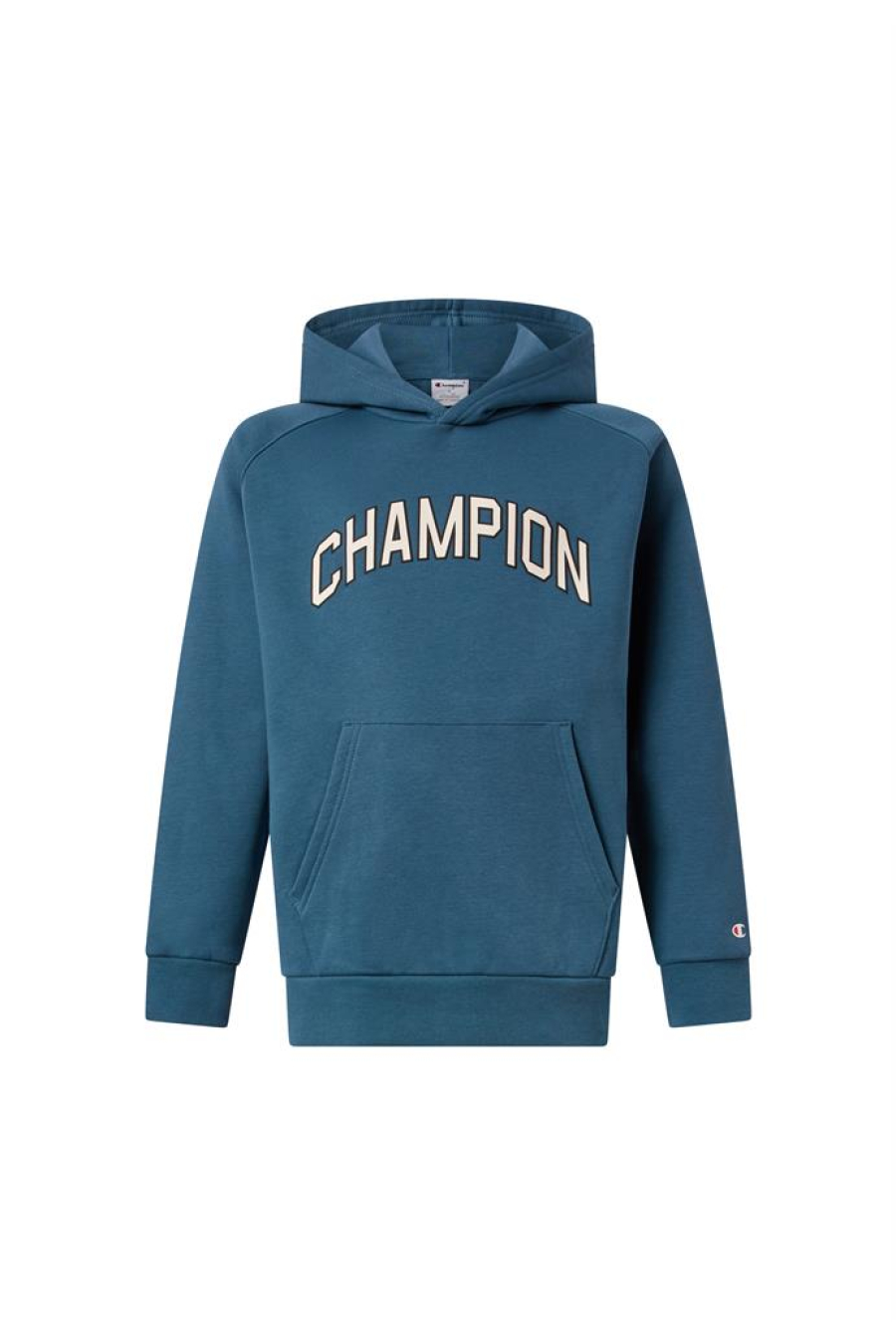 Champion Hooded Sweatshirt