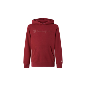 Champion Hooded Sweatshirt