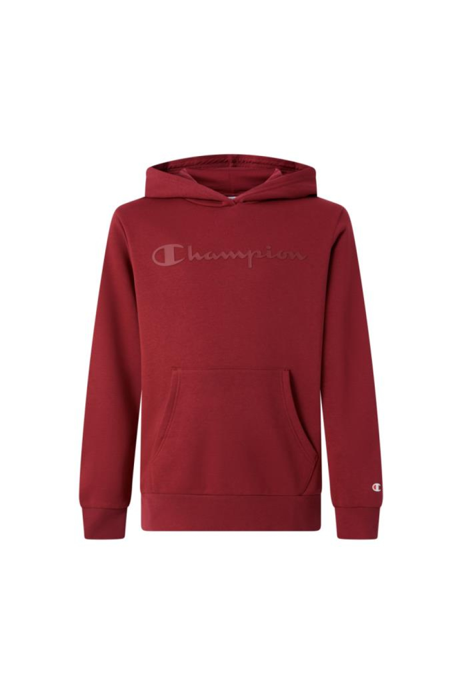 Champion Hooded Sweatshirt