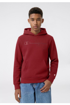 Champion Hooded Sweatshirt