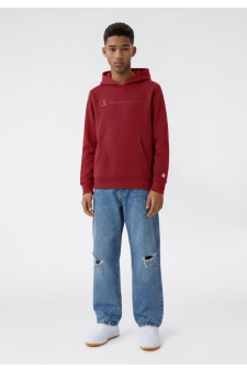 Champion Hooded Sweatshirt