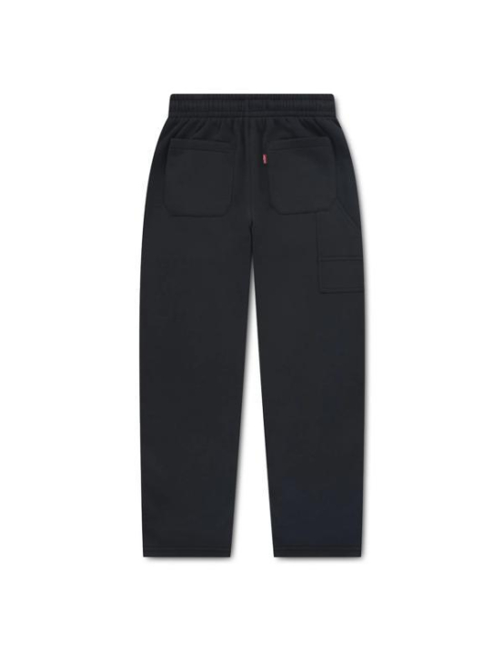 Levis B Baggy Carpenter Sweatpant