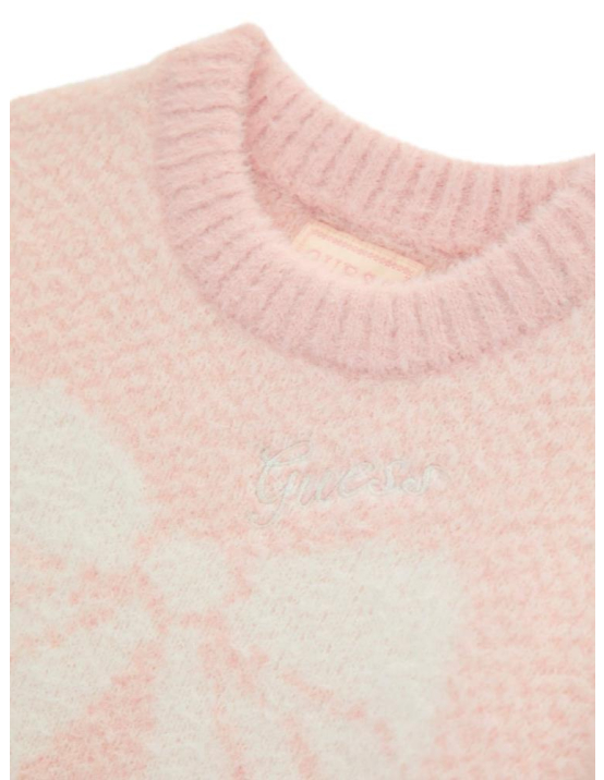 Guess G Ls Sweater