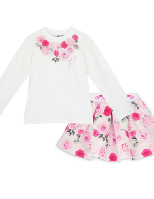 A-Dee Rose Print Skirt Set