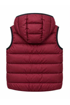 Champion Hooded Full Zip Vest