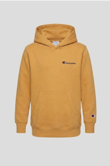 Champion Hoodie Sweatshirt