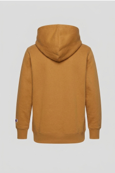 Champion Hoodie Sweatshirt