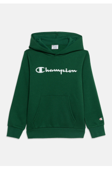 Champion Hoodie Sweatshirt