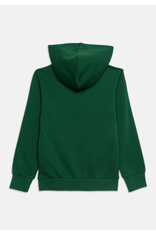 Champion Hoodie Sweatshirt