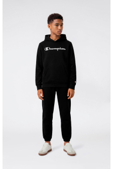 Champion Hoodie Sweatshirt