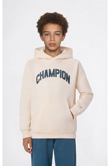 Champion Hooded Sweatshirt