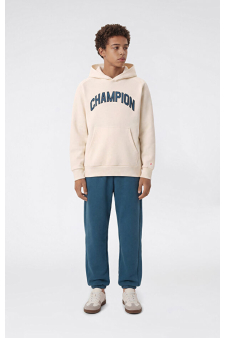 Champion Hooded Sweatshirt